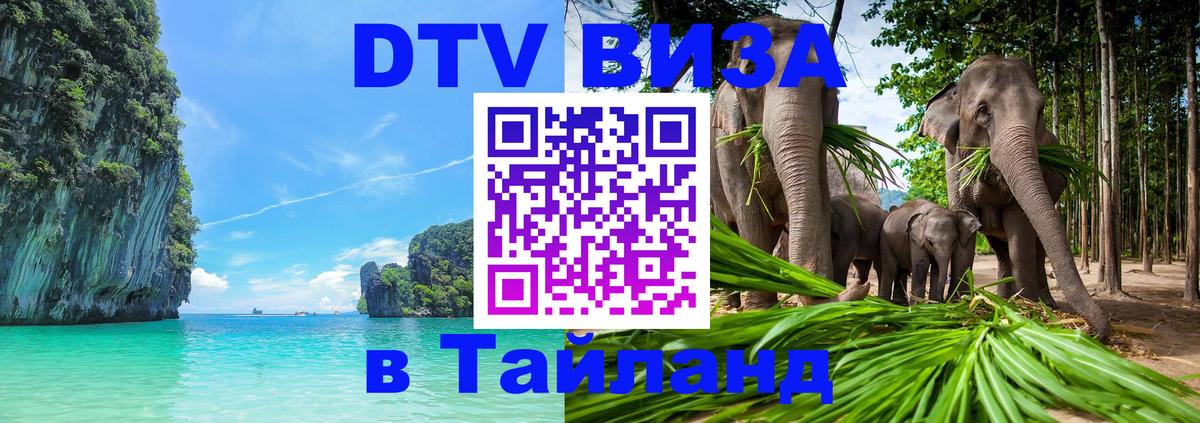 Оформление DTV визы под ключ: стоимость и тарифы, только загранпаспорт - 08.01.2026 